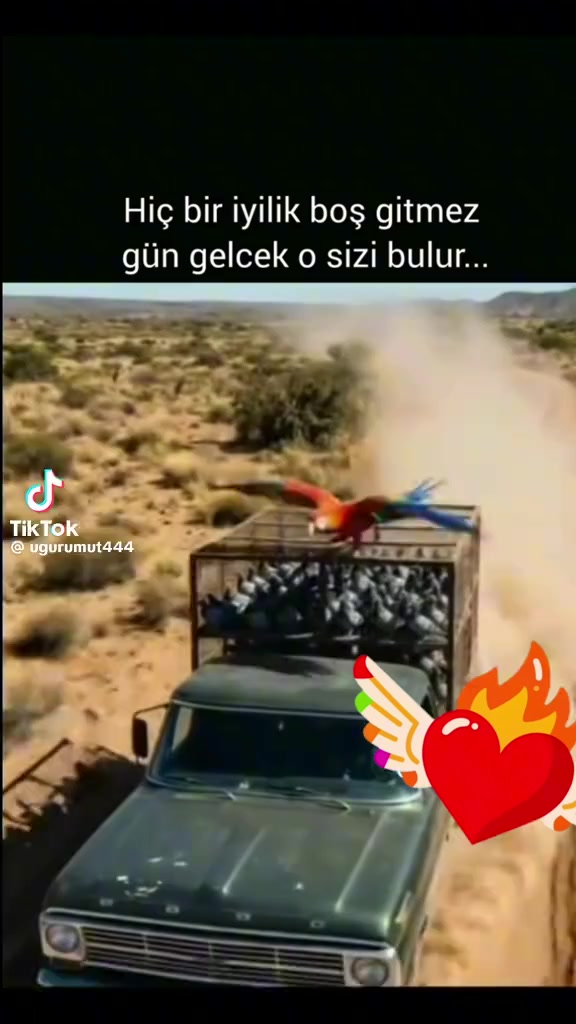 @90_lar nostalji