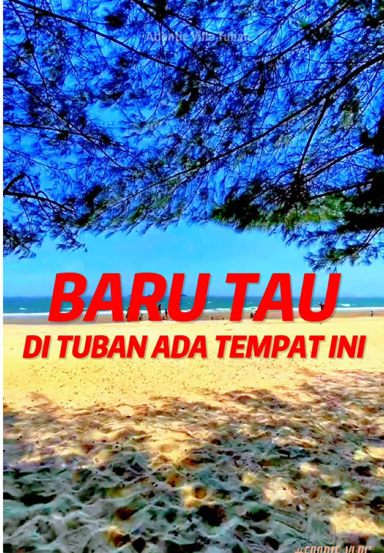 @ATLANTIC TUBAN