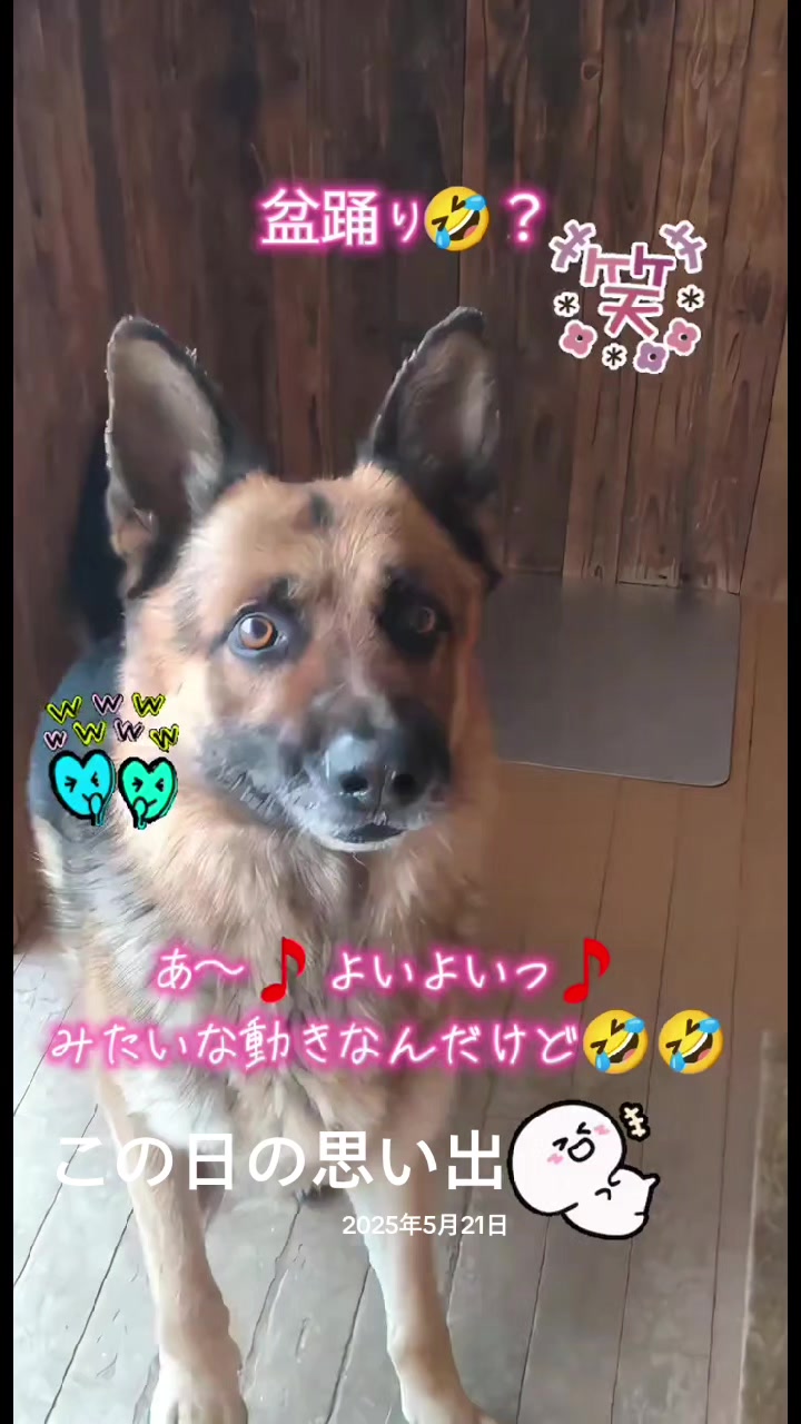 @ANIMAL♡M