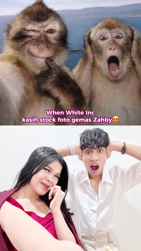 @White Inc Official