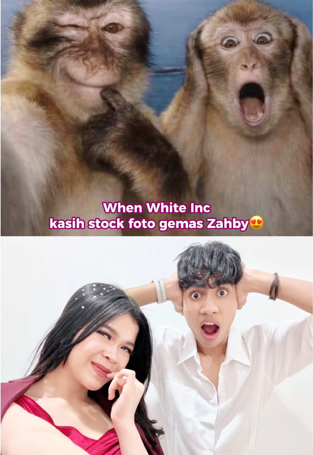 @White Inc Official