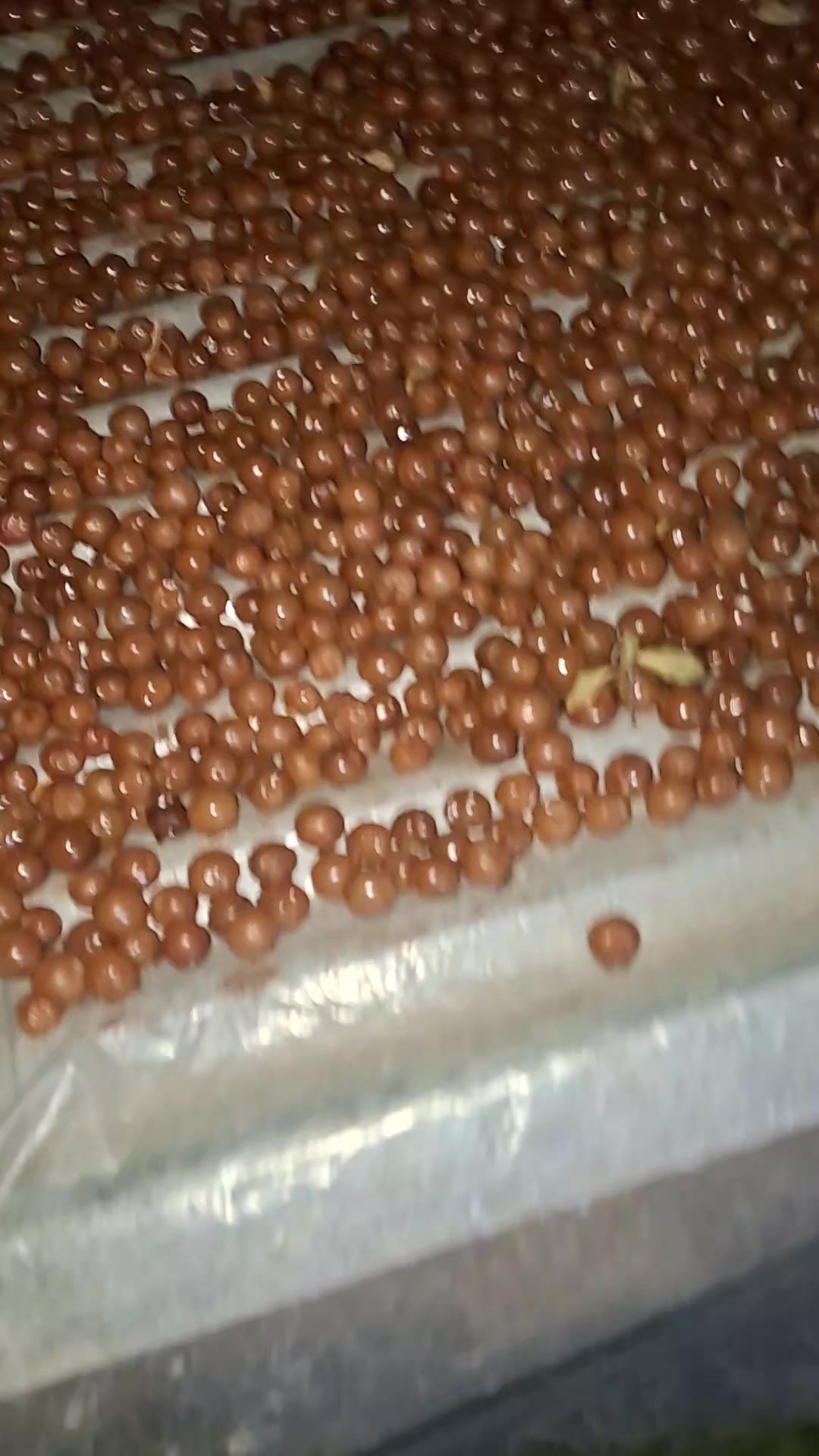 @hər günümüzə şükür