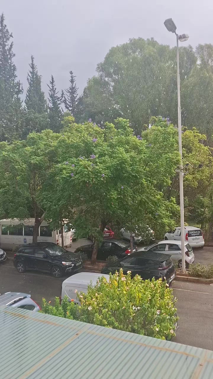 @Rana Hajjar