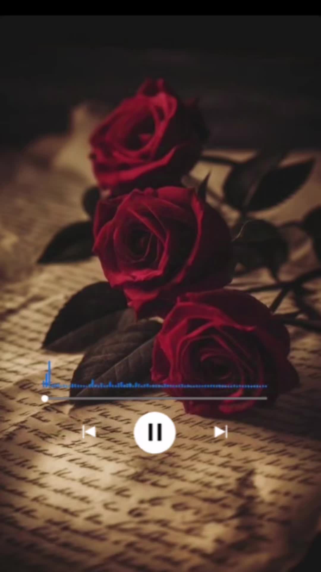 @grkelly27💕🎶