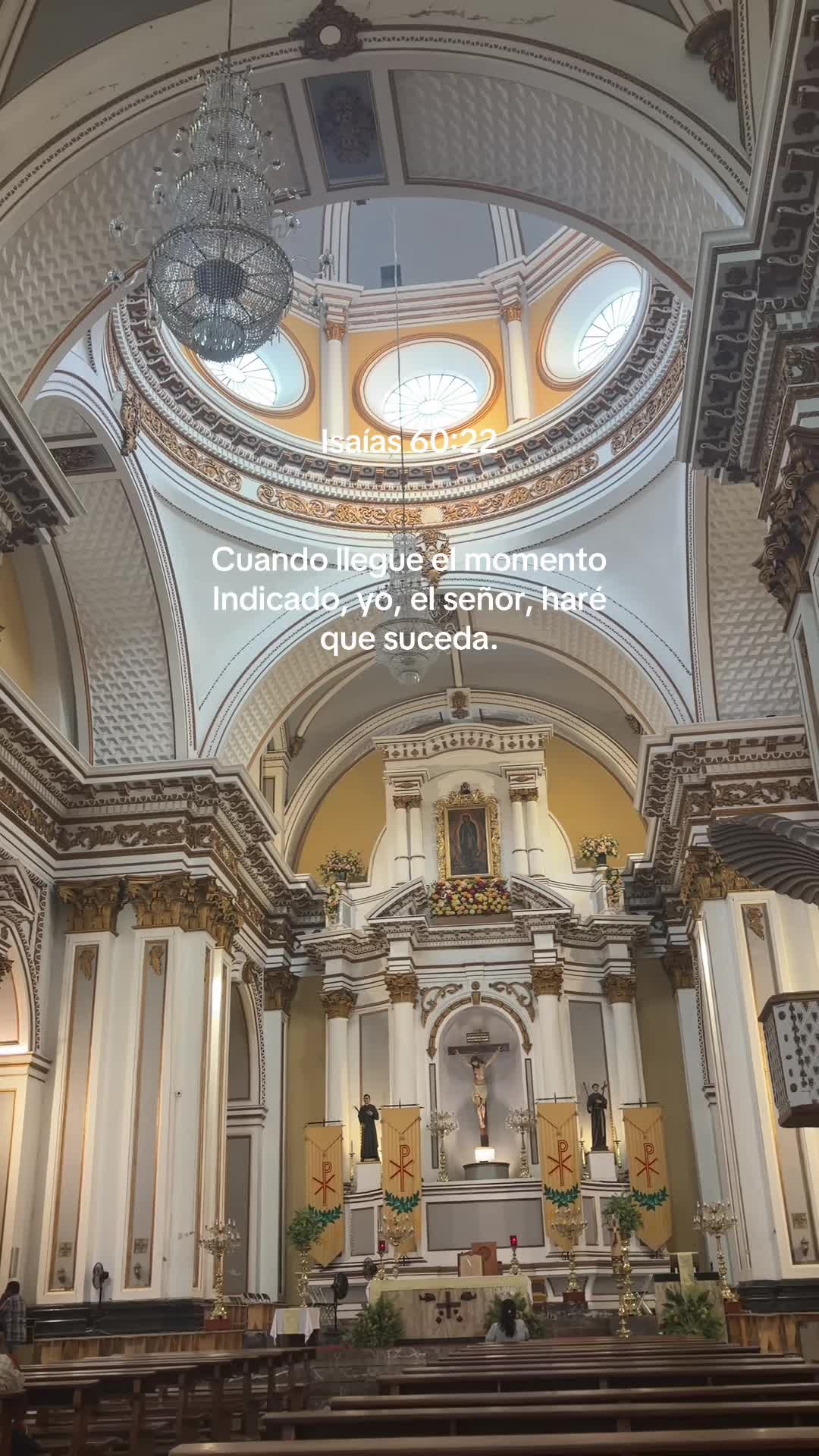 @Yuri Alvarado