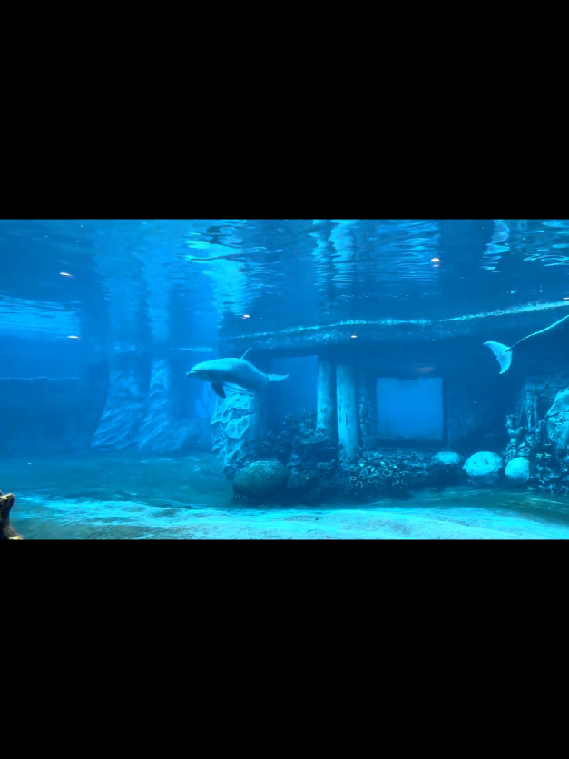 @Hubertcampbelltravels