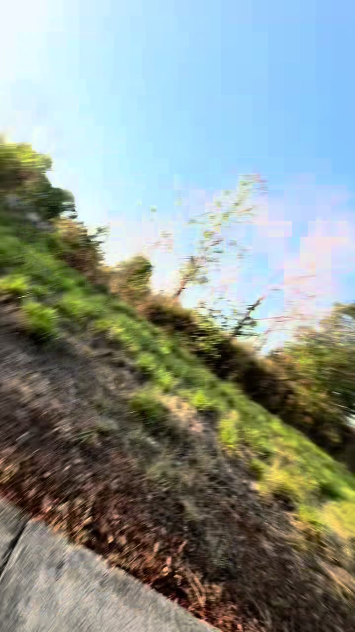 @danicafidelmagpayo1229