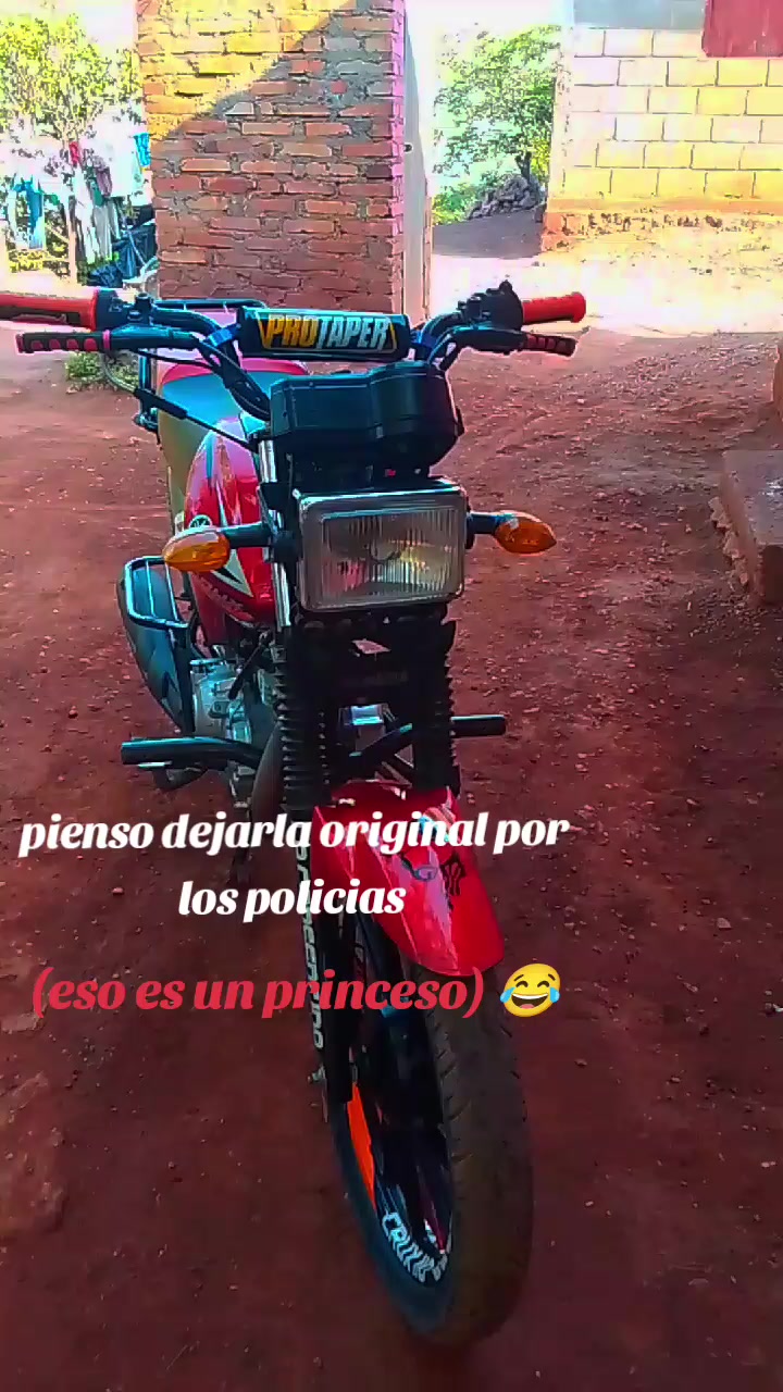 @Noel bekelef🤑