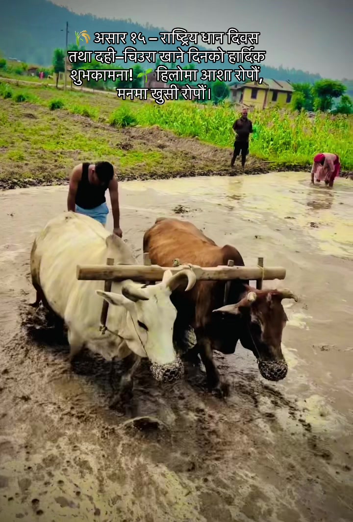 @Dipak H Oli