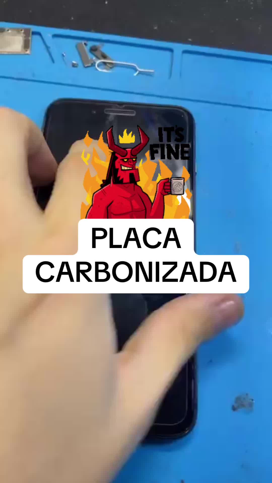 @Alecs