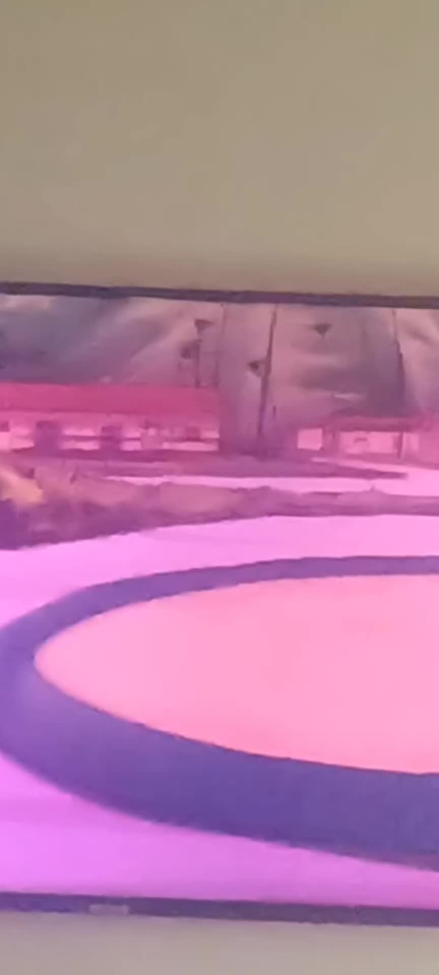 @sirdavidthekillerbee