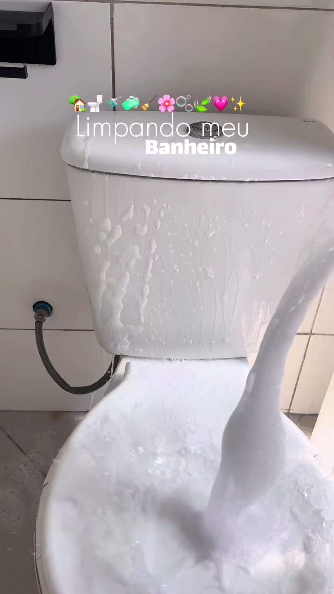 @Dany | Casa & Rotina