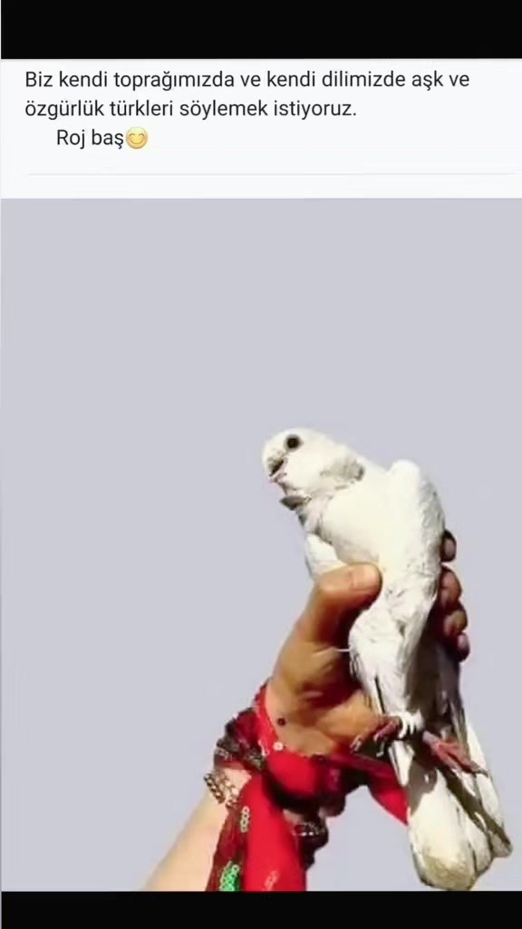 @❦JłɎ₳₦ ฿Ɇ ₮Ɇ ₦Ɇ Ӿ₩₴̧Ɇ ₳₥₳Ɽ₳❦🥀