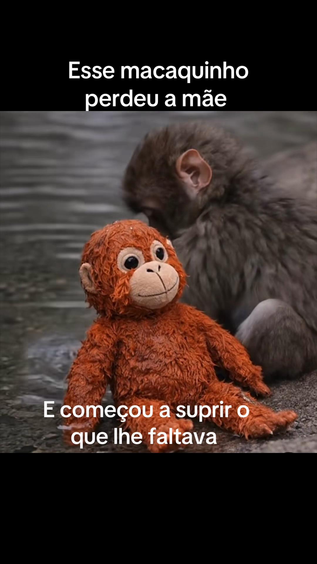 @Eliz Assump&ccedil;&atilde;o/ Psicanalista