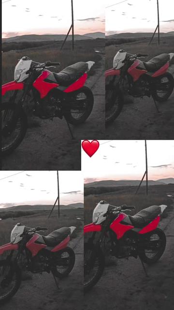 @panther 250