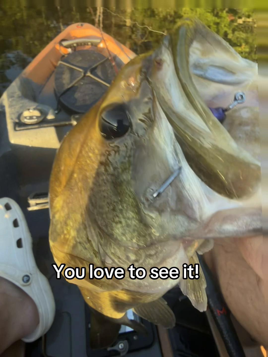 @wildbillfishing