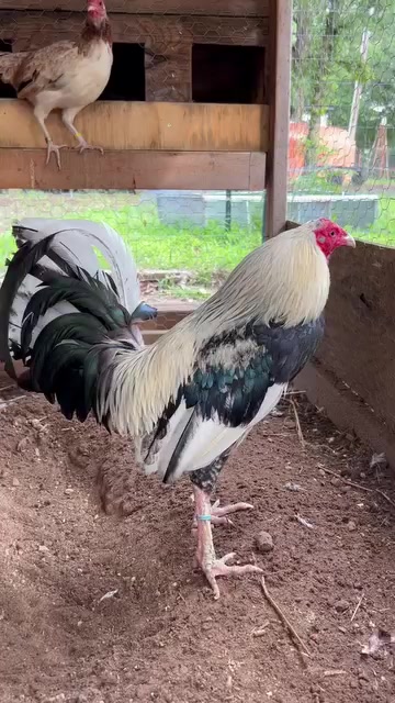 @G3 Farm & Fowl Supplies