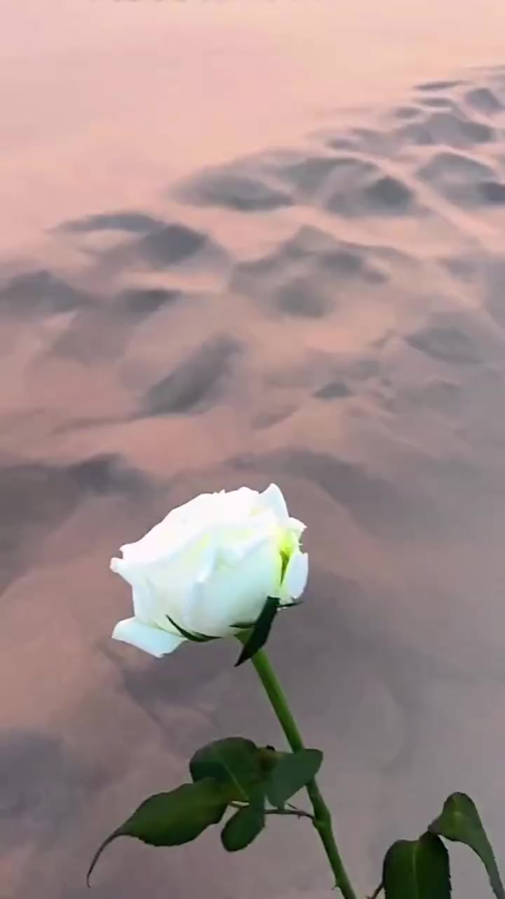 @மானமுள்ள தமிழச்சி
