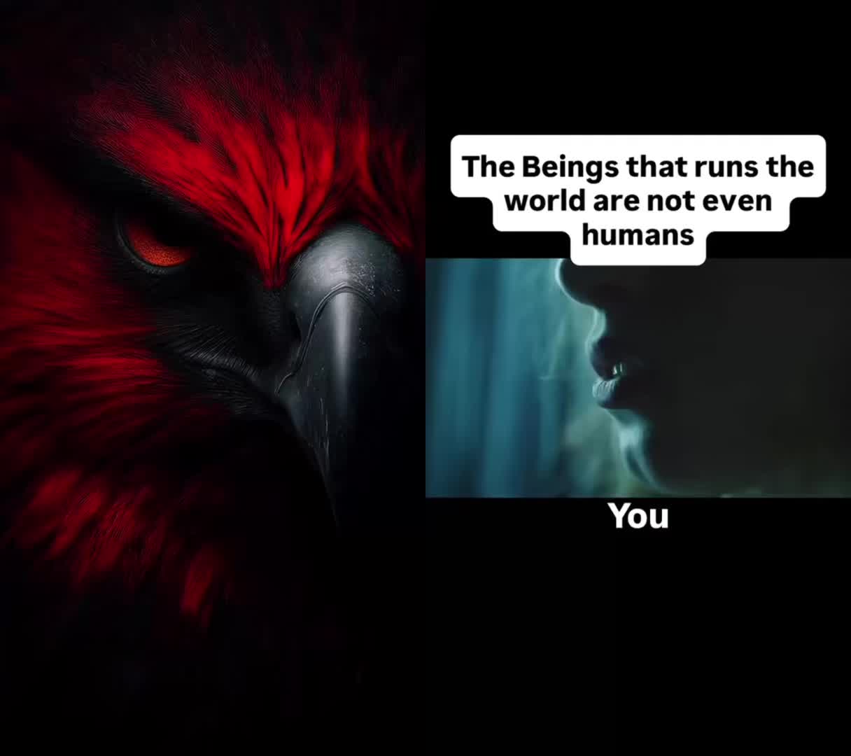 @ARMEDWITHLIGHT꒰ঌᰔᩚ໒꒱ALPHA333