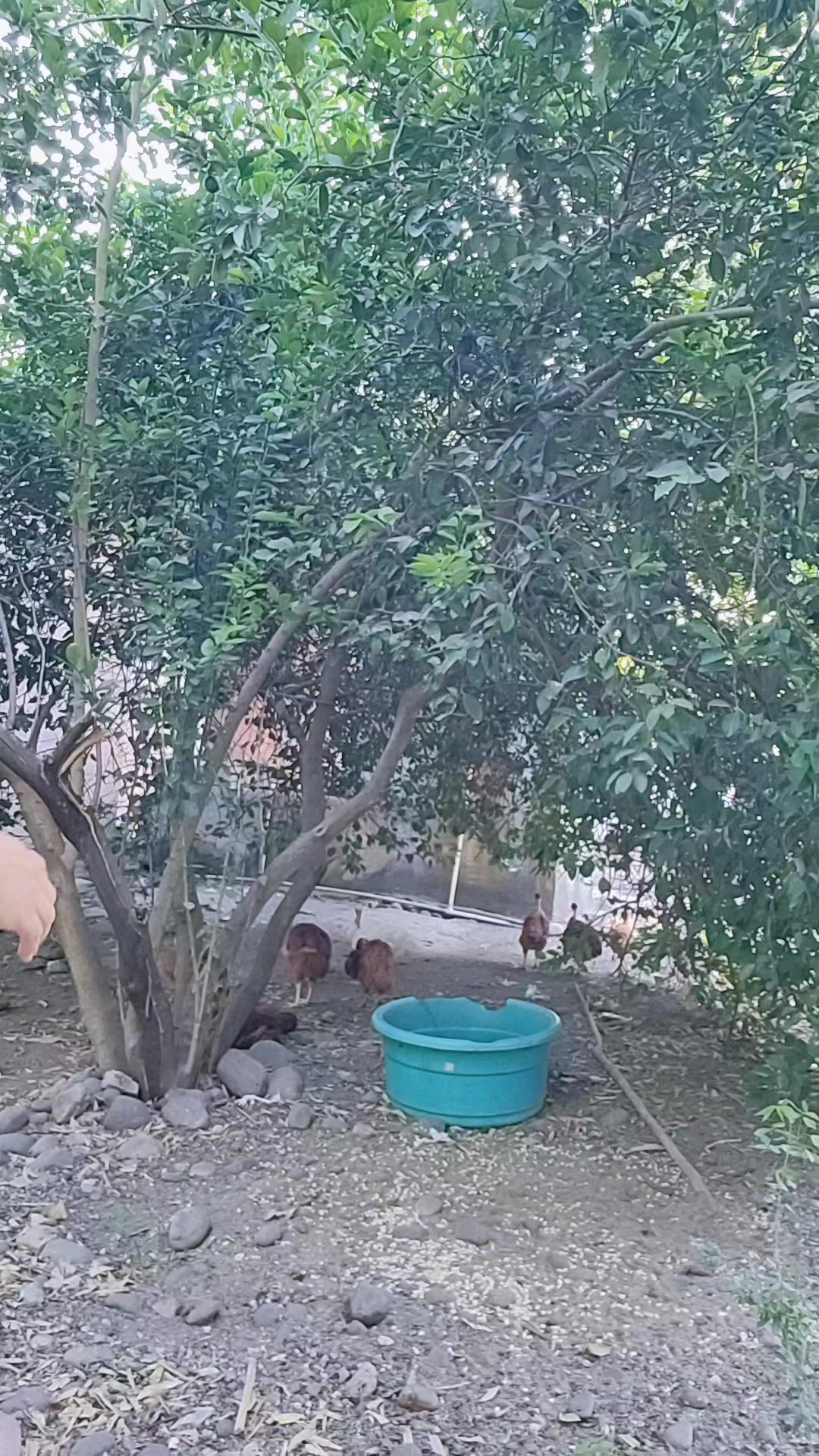 @✨️Alejandra✨️🐿🖤