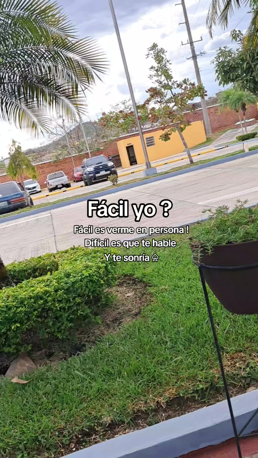 @️oswaldo07🇬🇹