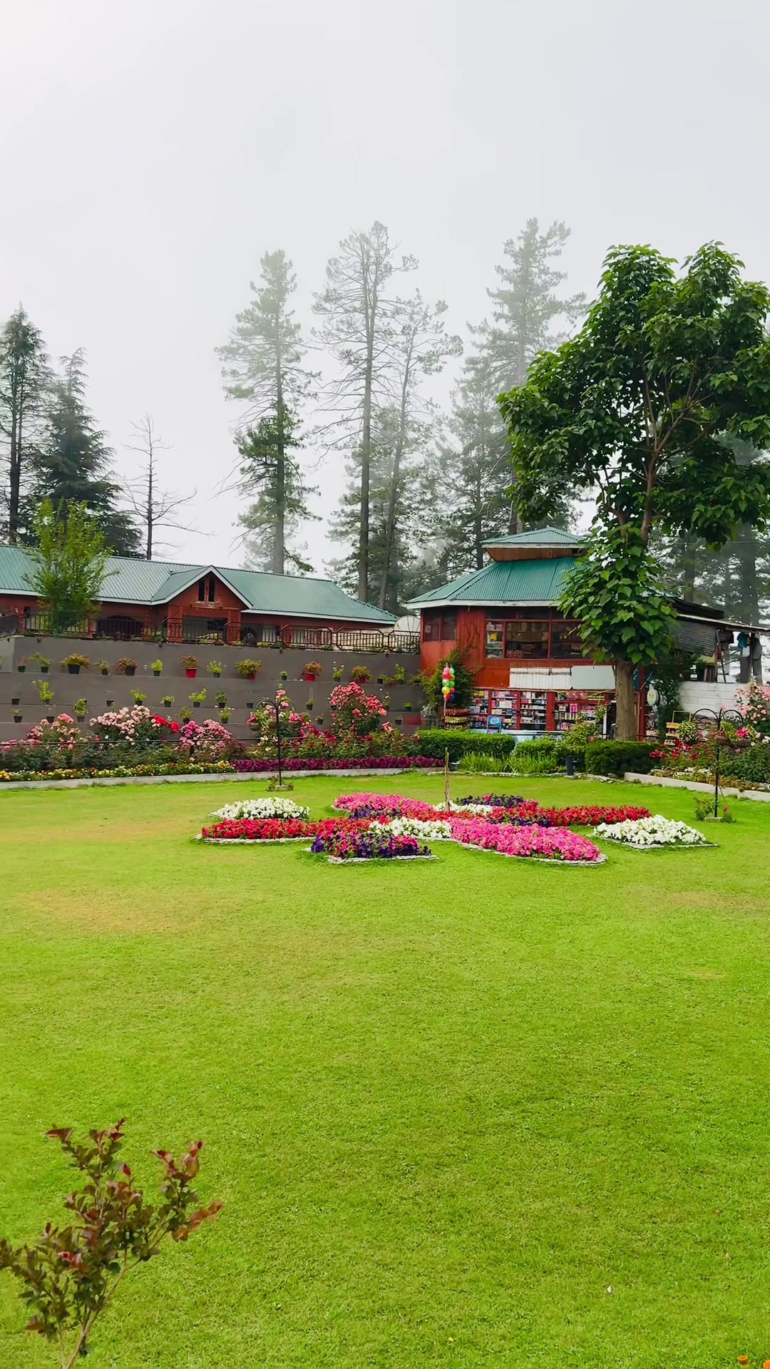 @Shogran Vibes