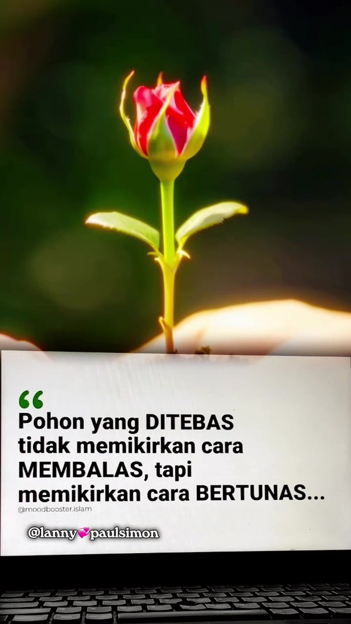 @𝐋𝐚𝐧𝐧𝐲💞𝐏𝐚𝐮𝐥𝐬𝐢𝐦𝐨𝐧