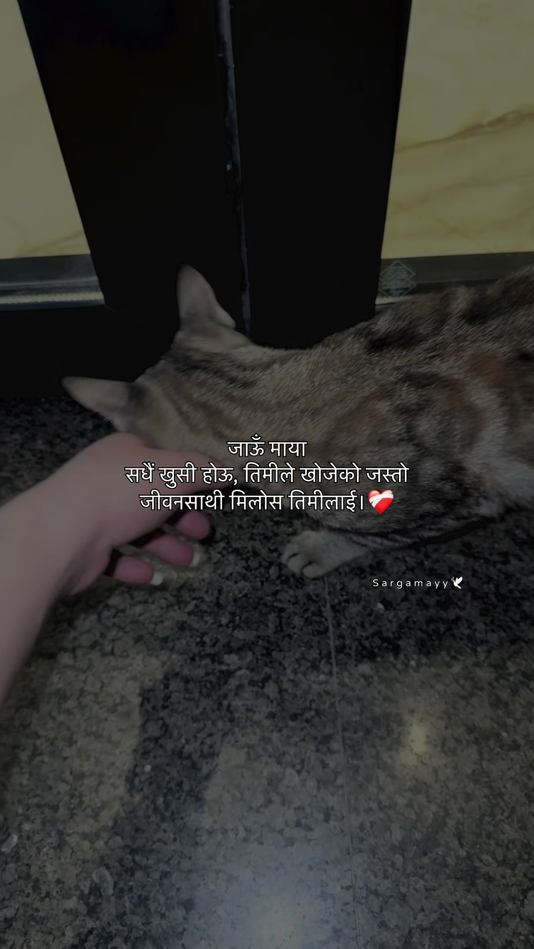 @Raee !!