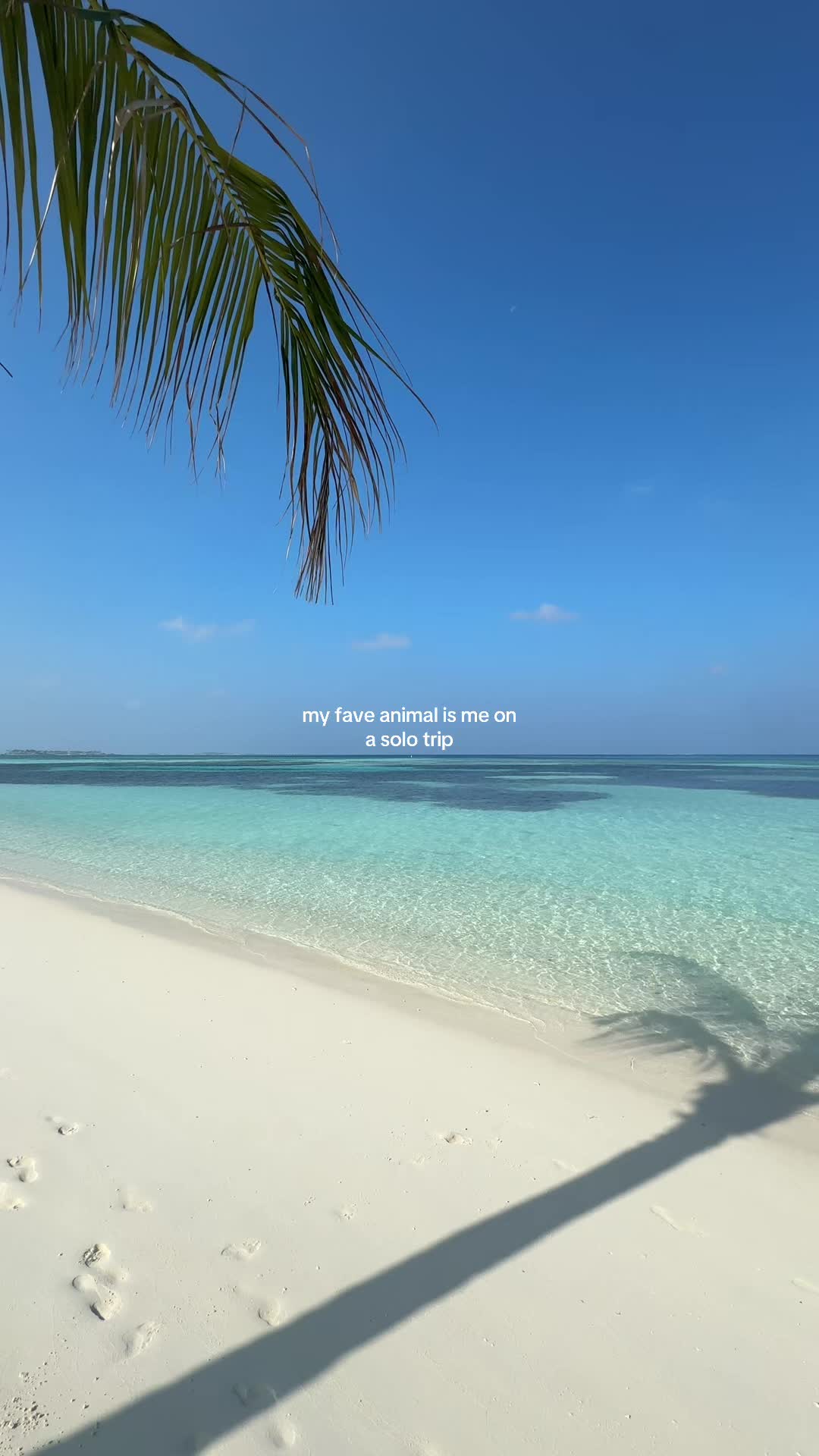 @beytoultravels