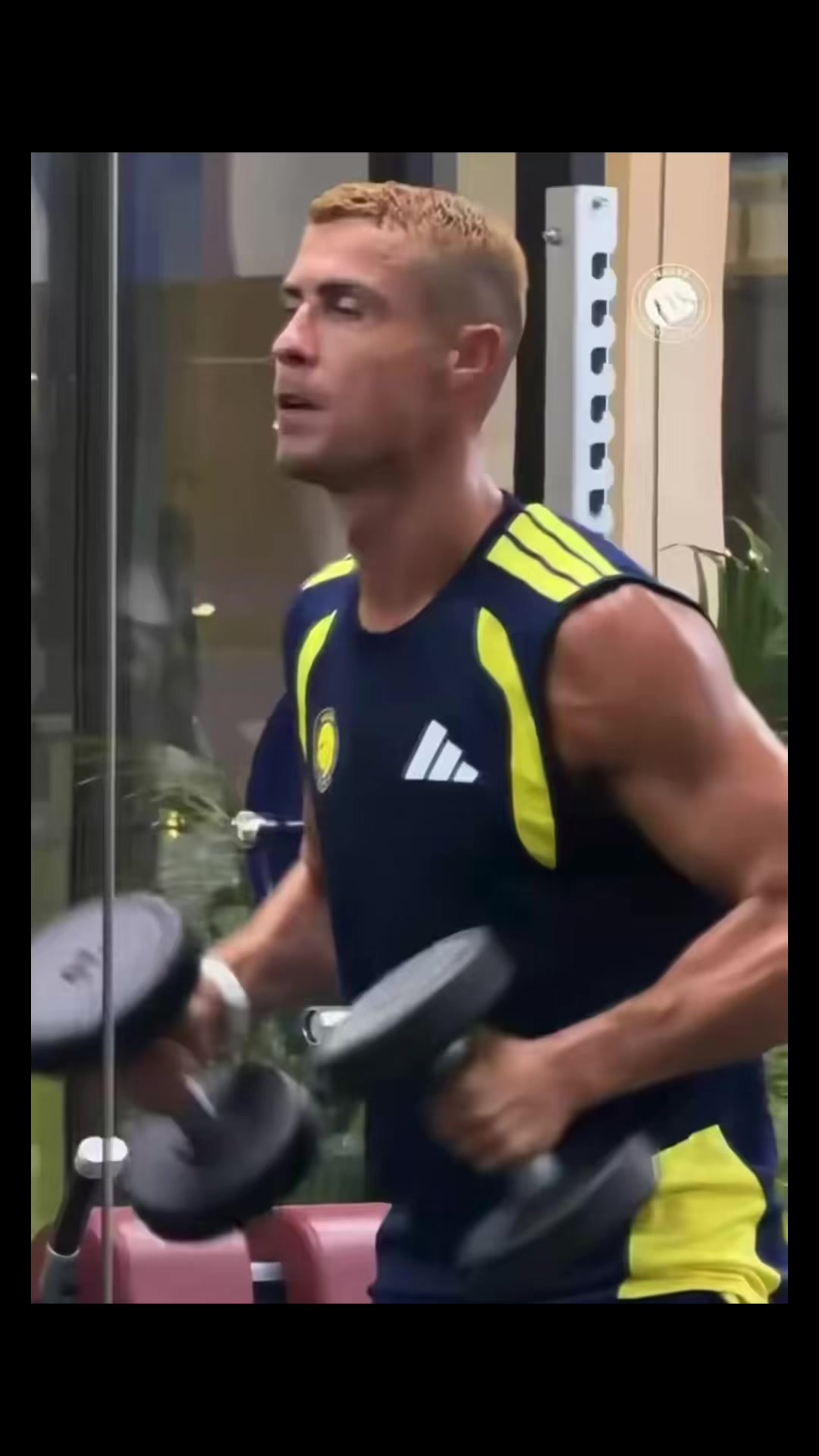 @البرتغالي | 🇵🇹 𓃵