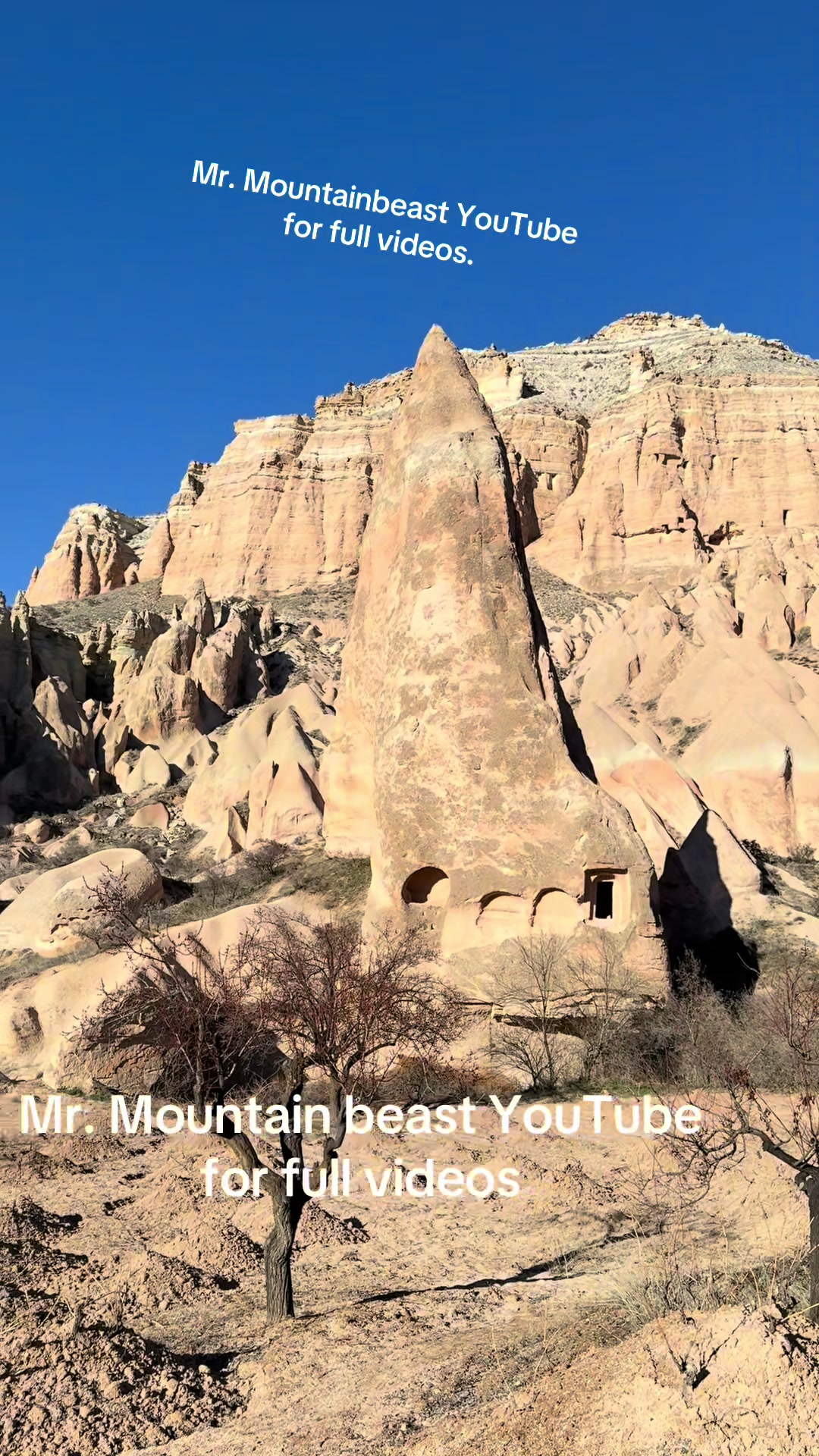 @Mr.mountainbeast