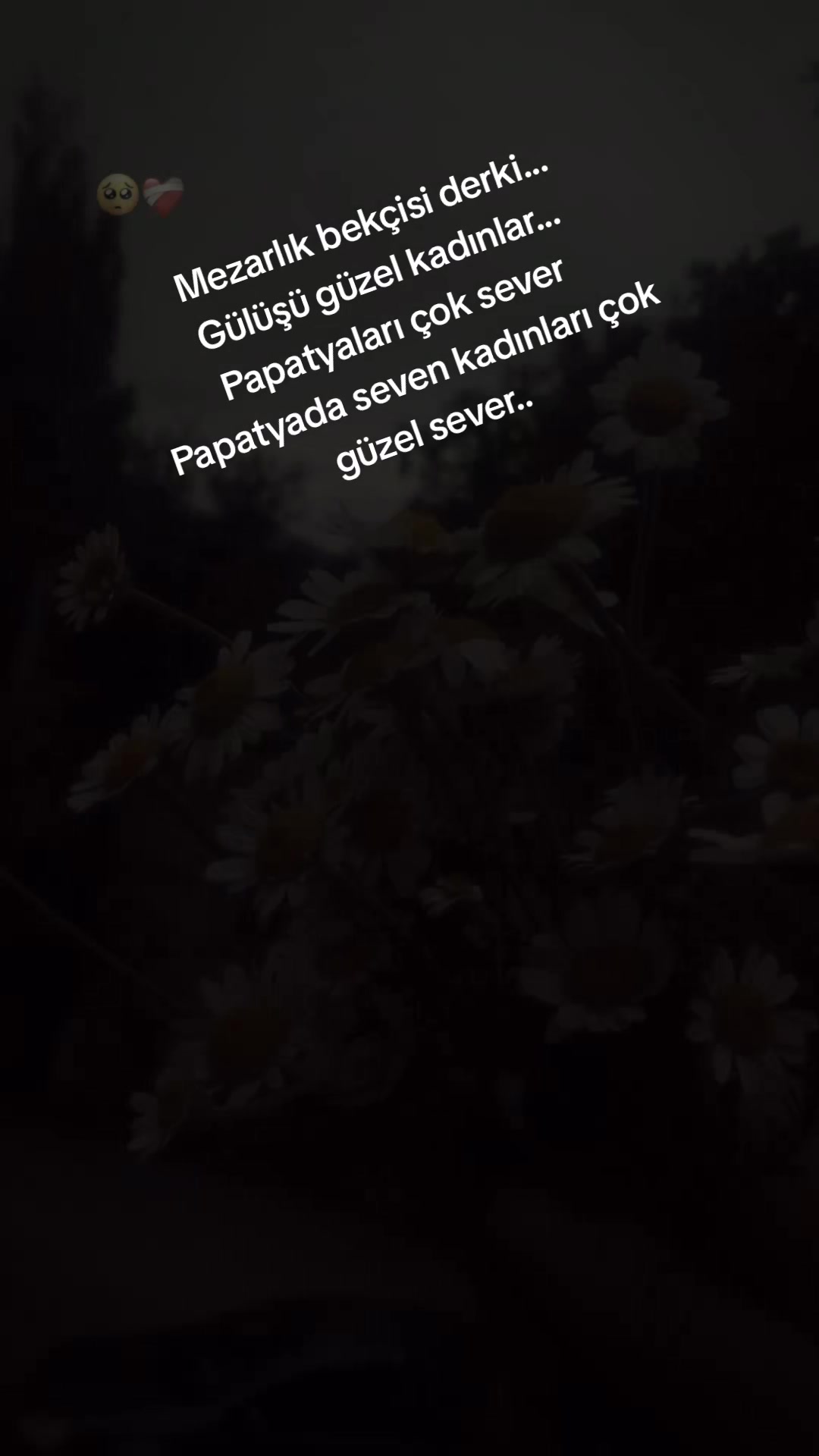 @dygm38