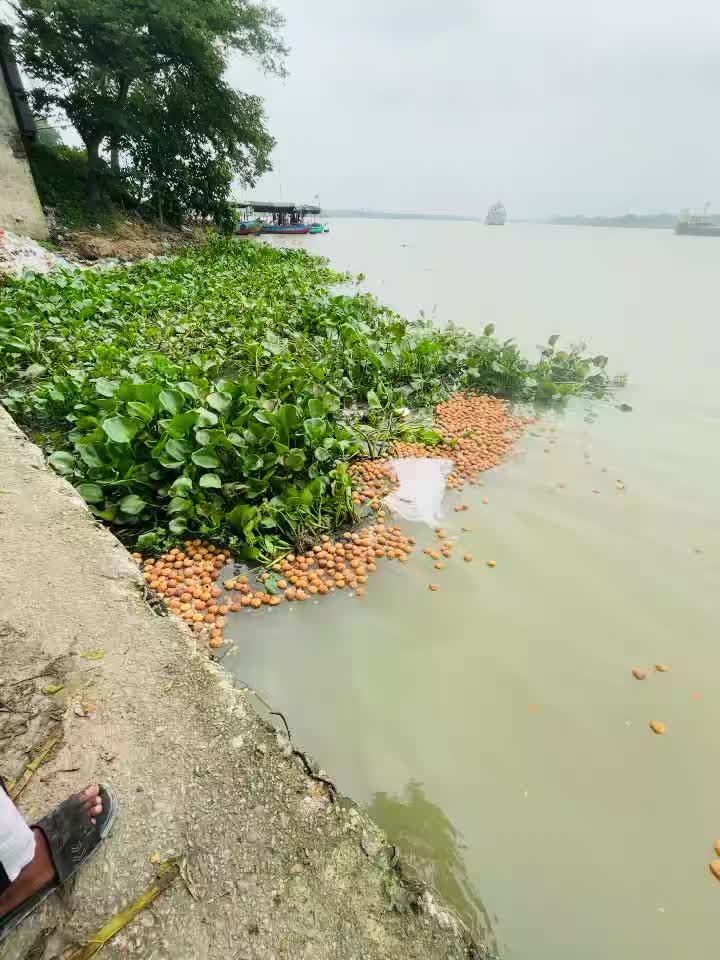 @DIN ISLAM 🇧🇩