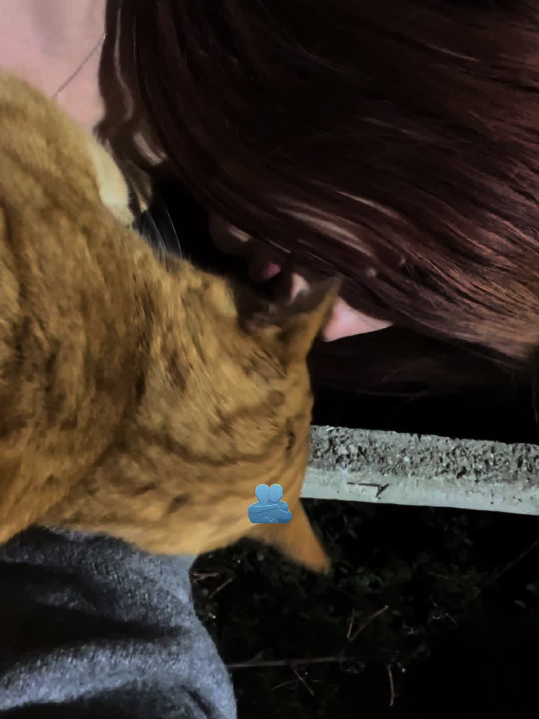 @.𝐌𝐎𝐑𝐅𝐅𝐘