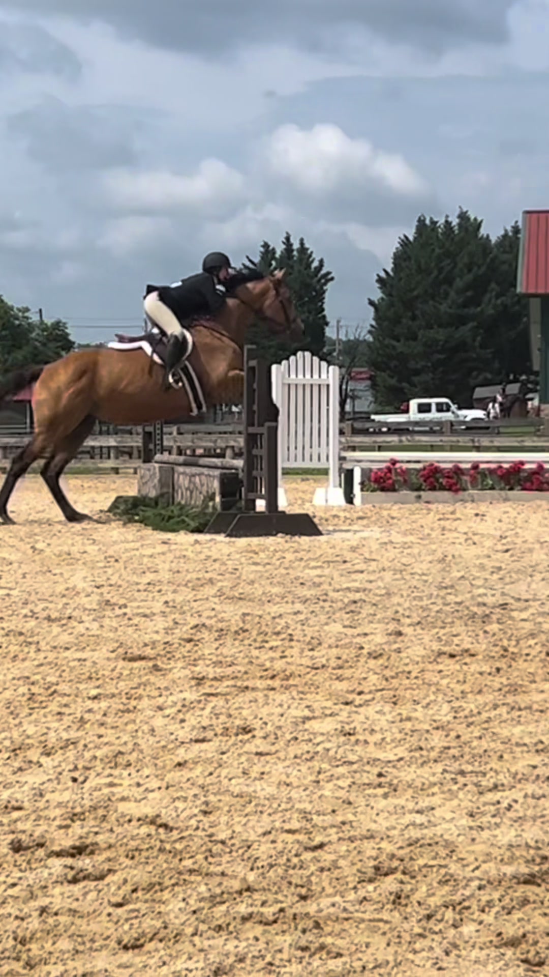 @Aftyn 🐎