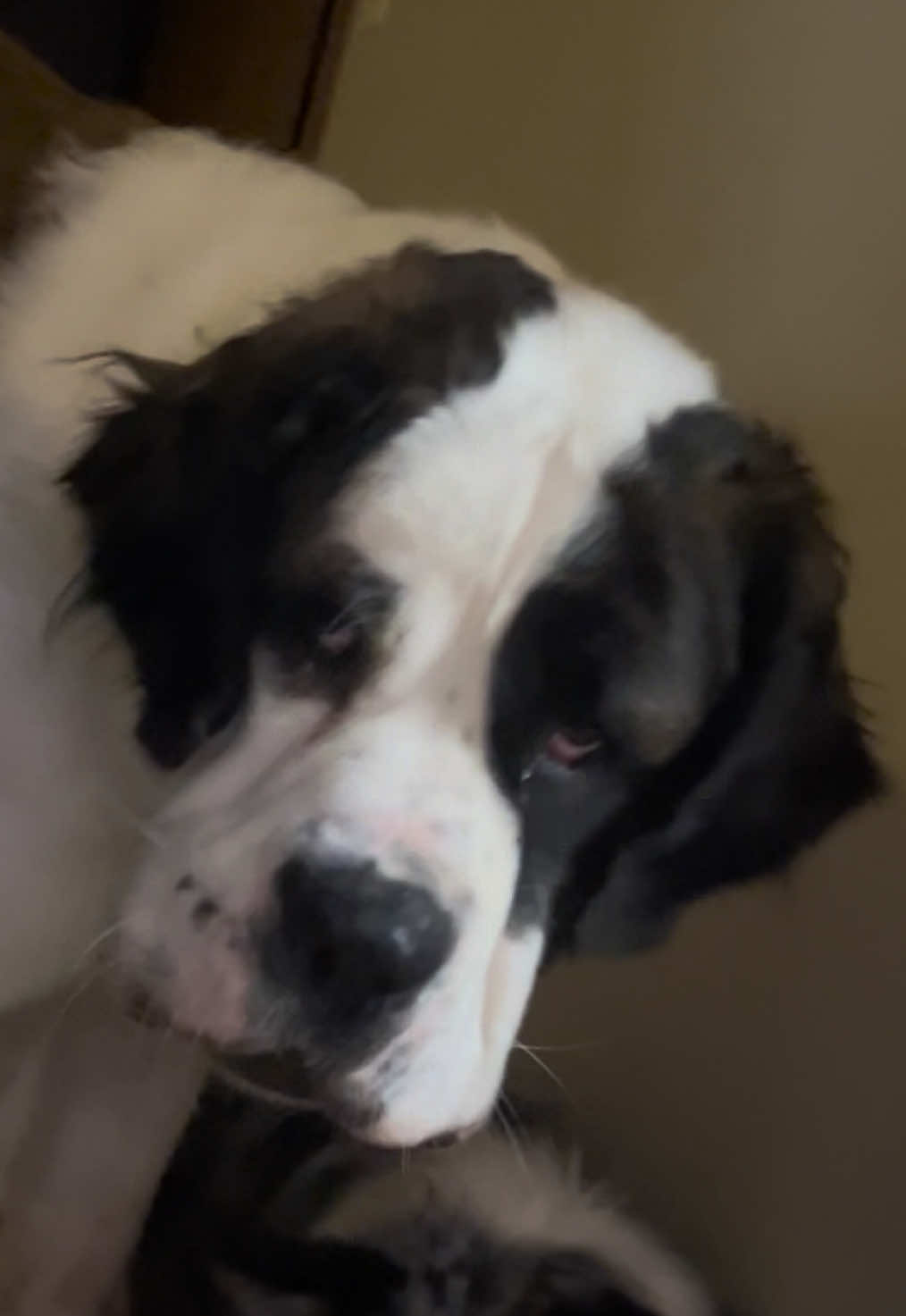 @𝐄𝐥𝐥𝐚