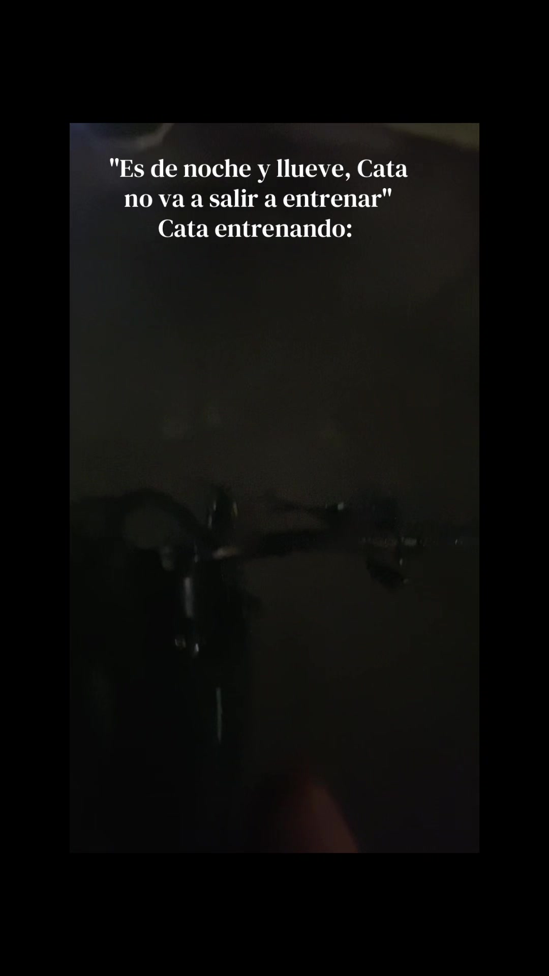 @cattalolo