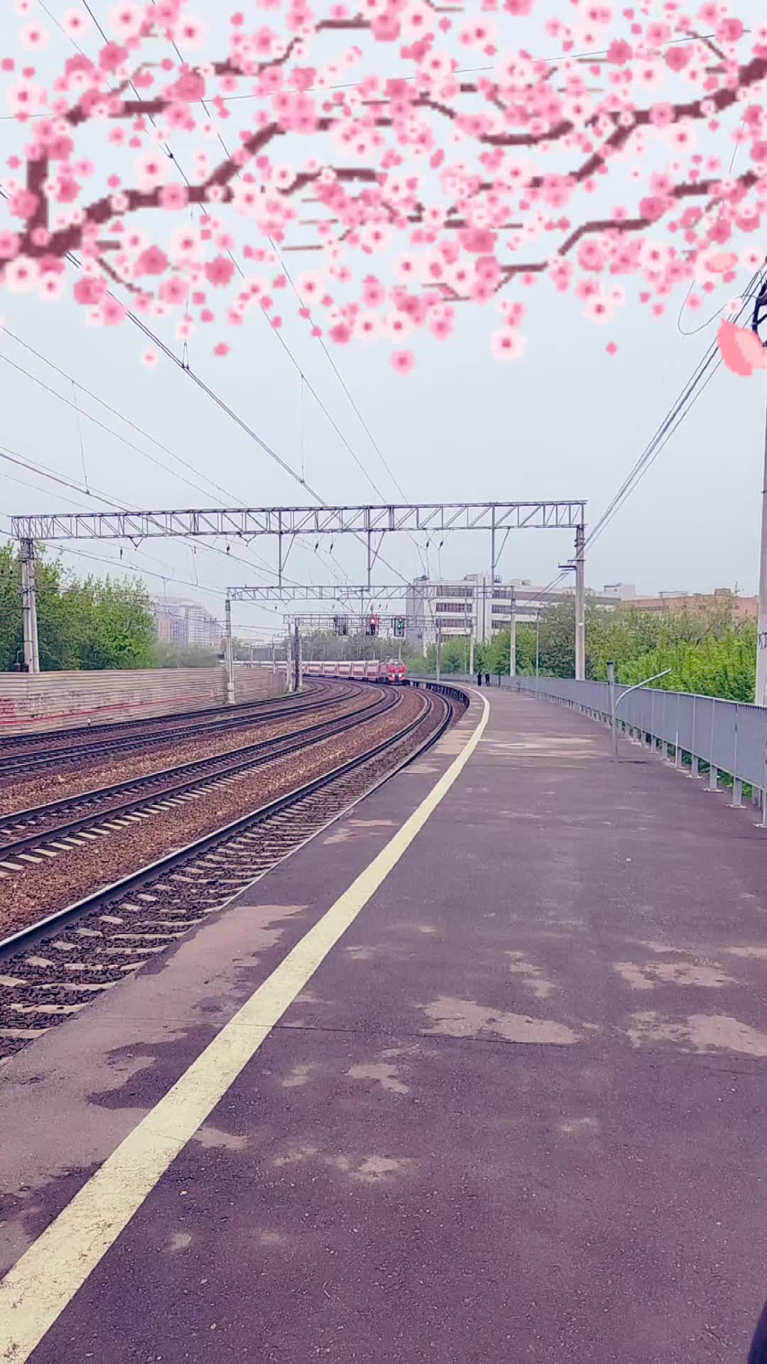 @Крипер 🛤