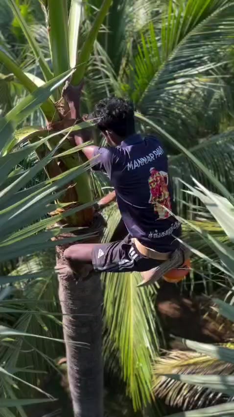 @🫵🏻🤫☠️வில்லங்கம்001☠🤫🦅🫵🏻