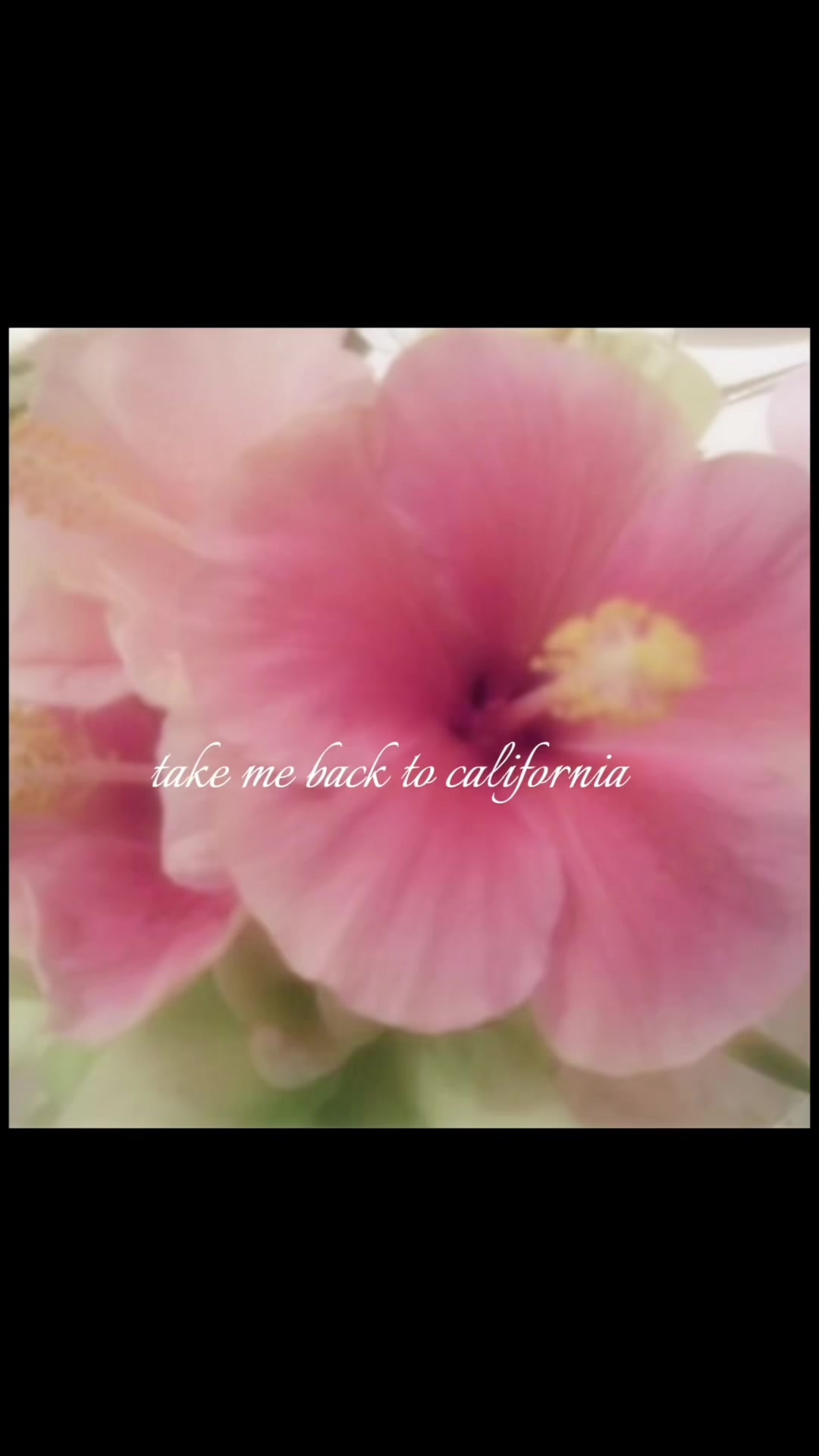 @𝓵𝓲𝔃𝔃𝓲𝓮 ౨ৎ