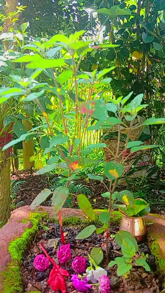 @अर्जुन पौडेल (उपाध्याय )