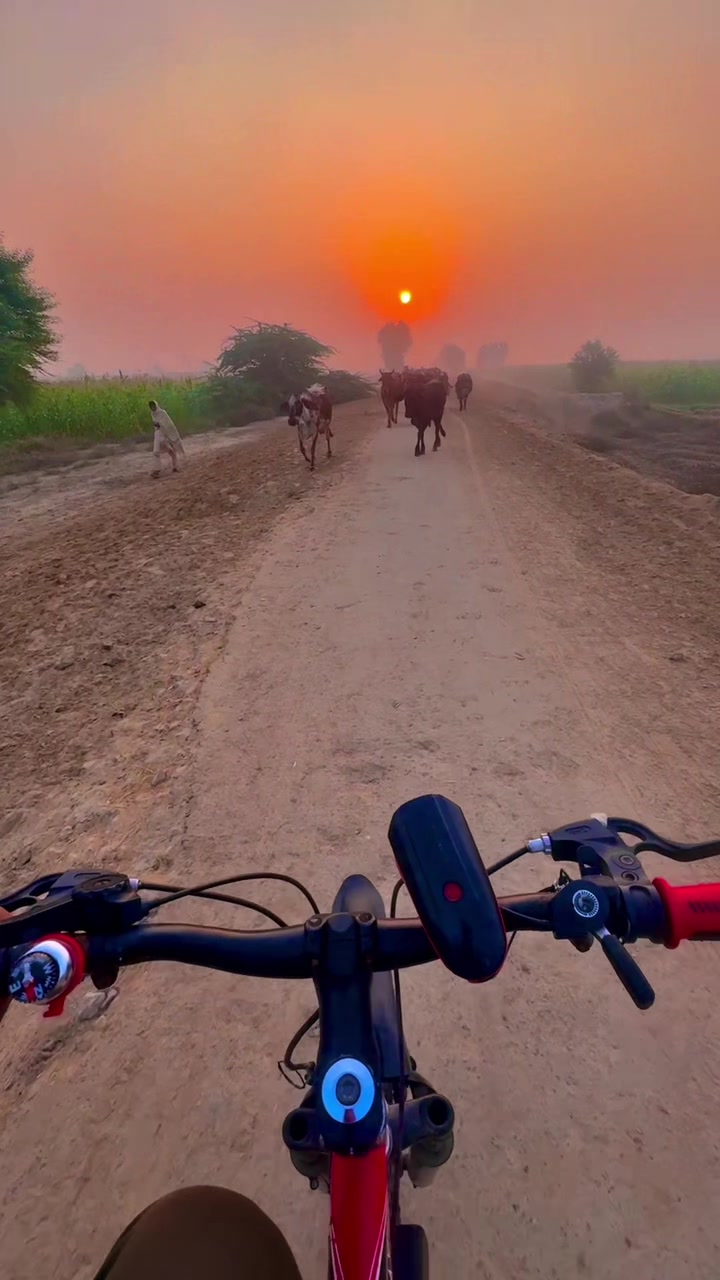 @سوہنا پنجاب🌾🫀