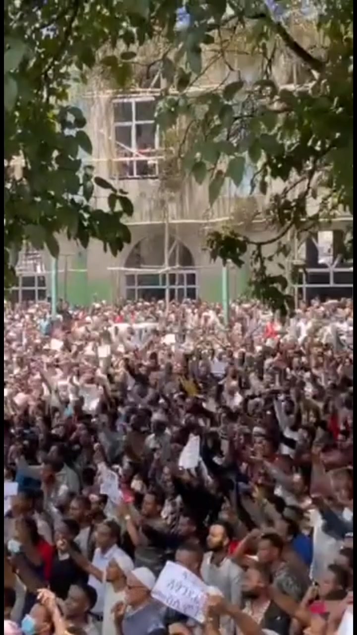 @jemuti🦋🇹🇷
