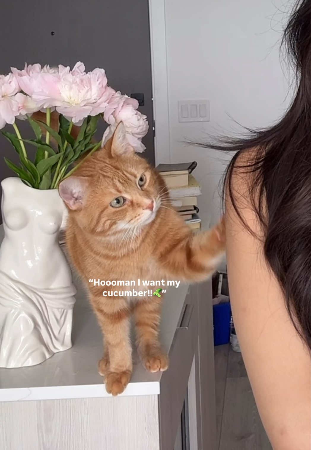 @tammymlbb_