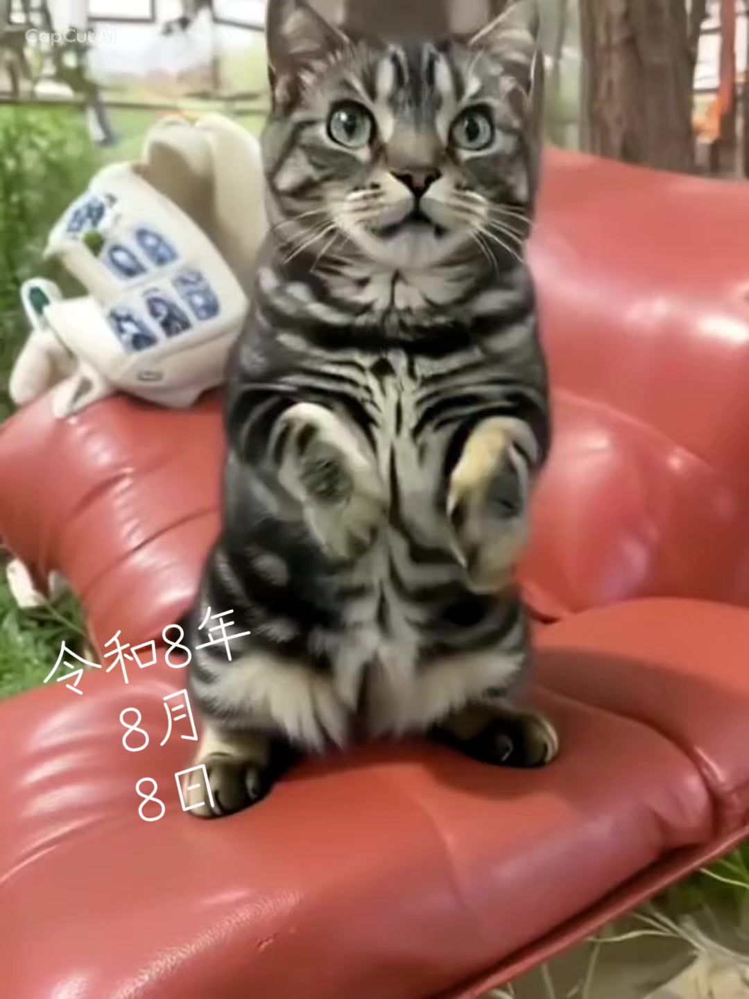 @๐ทmiwako๐๐ท