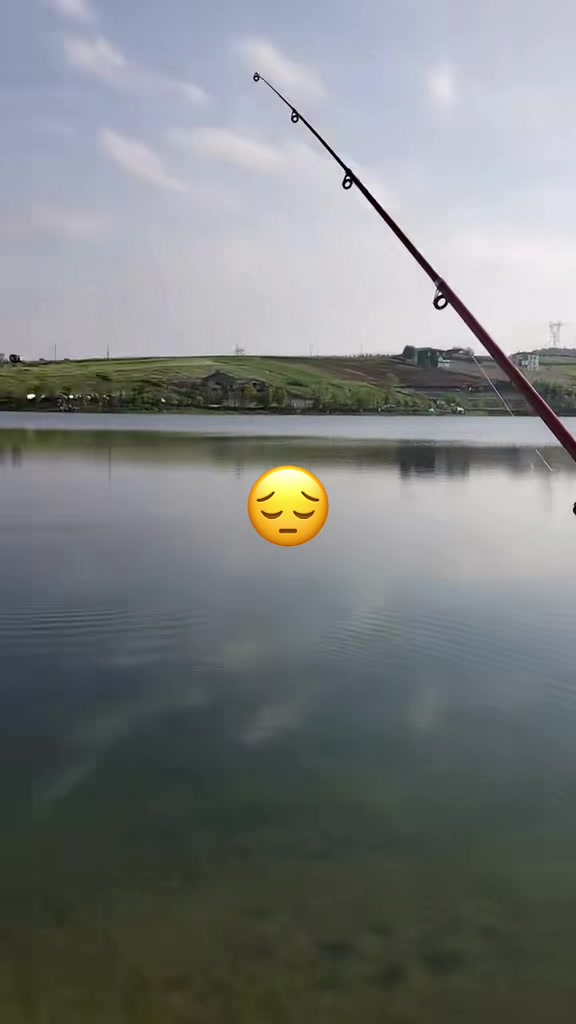 @papatya_65
