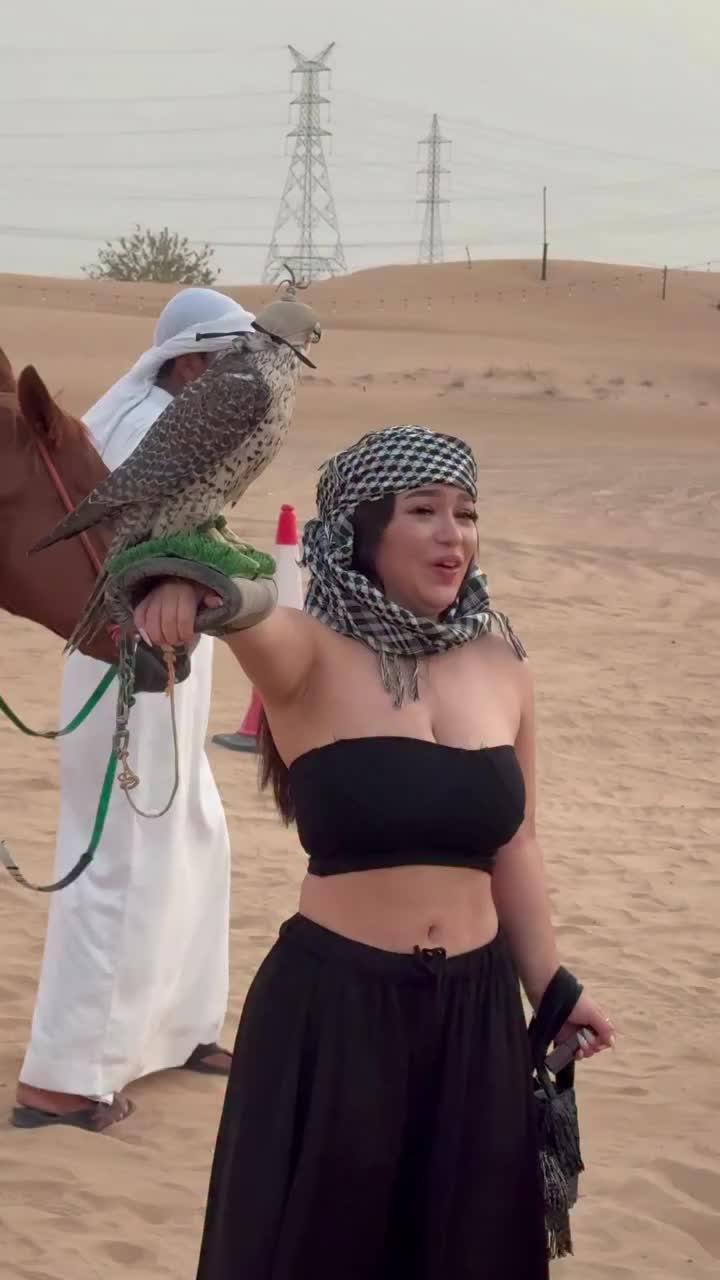 @Desert Safari🇦🇪