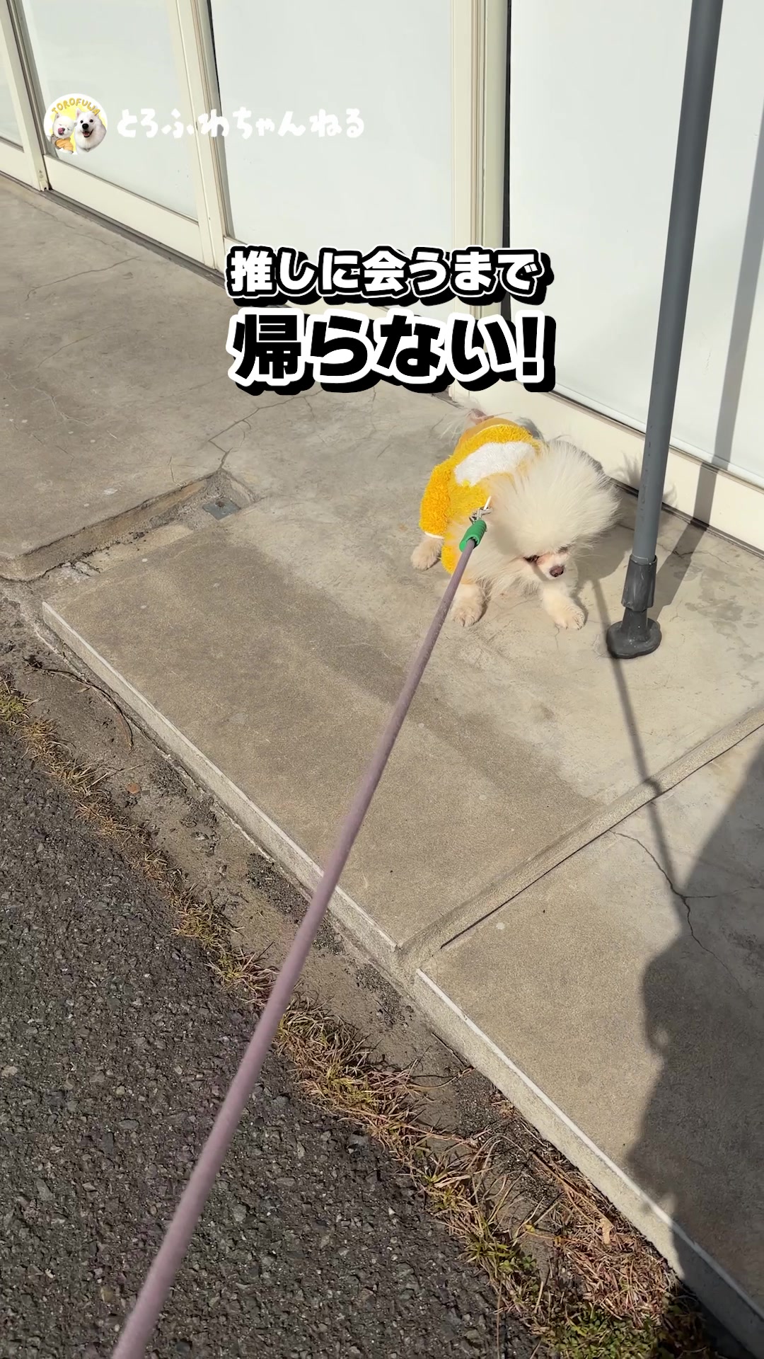 @とろふわ