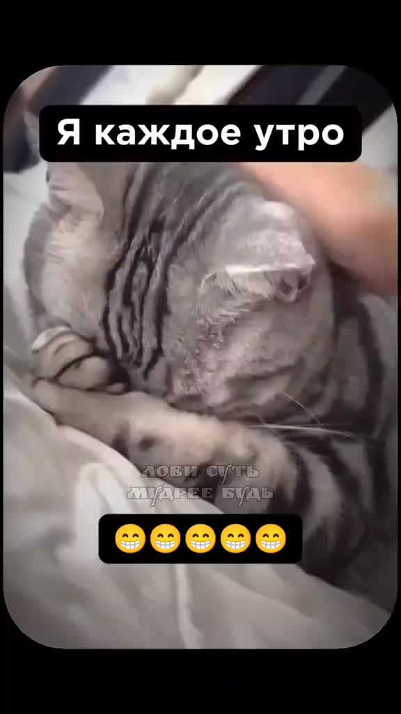 @Оксана