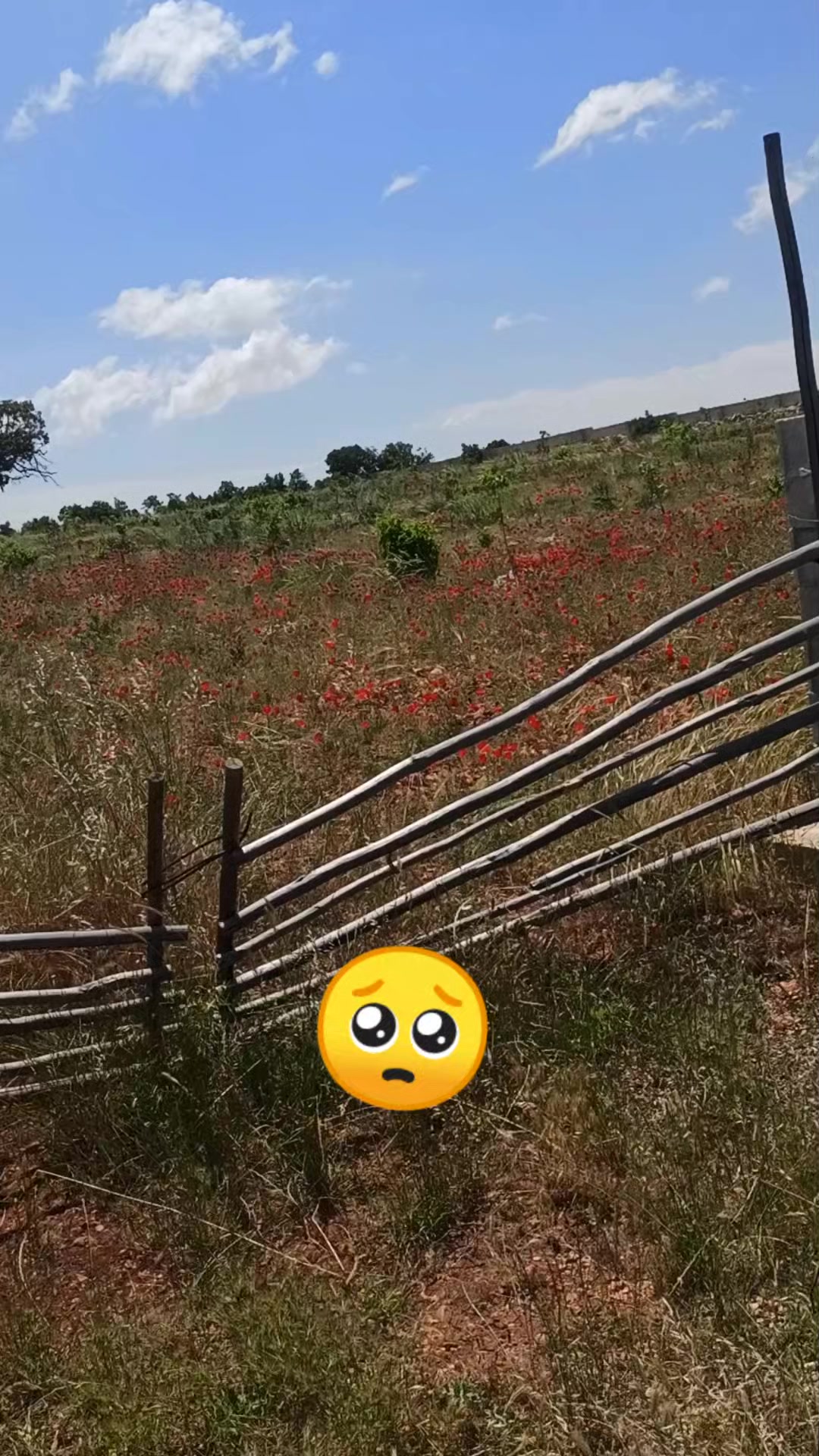 @nazire sıla
